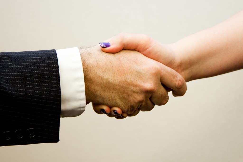 Two professionals negotiating a business agreement